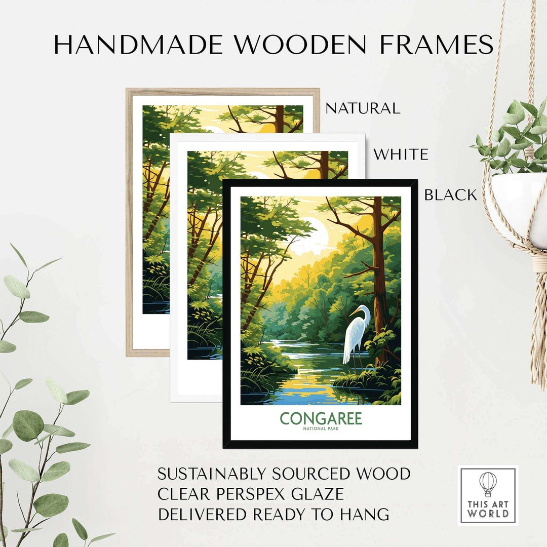 Congaree Print National Park Poster