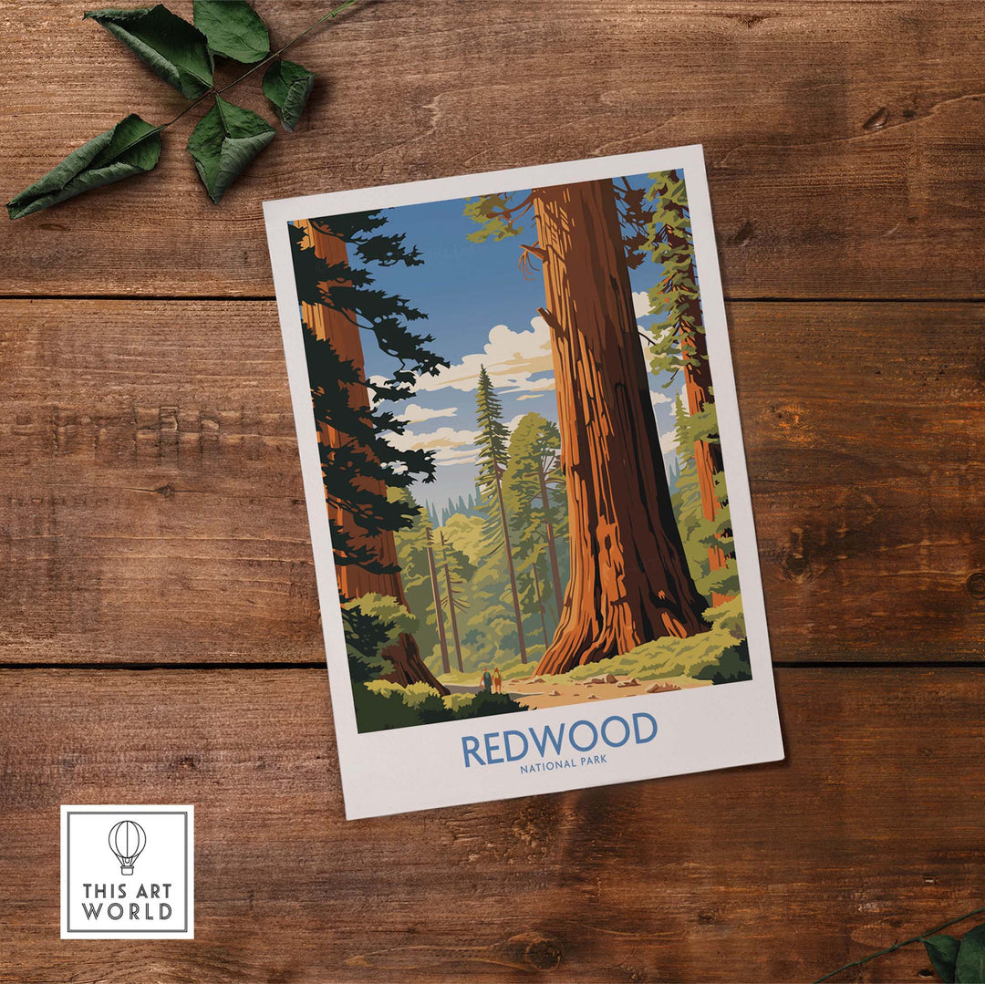 Redwood National Park Print