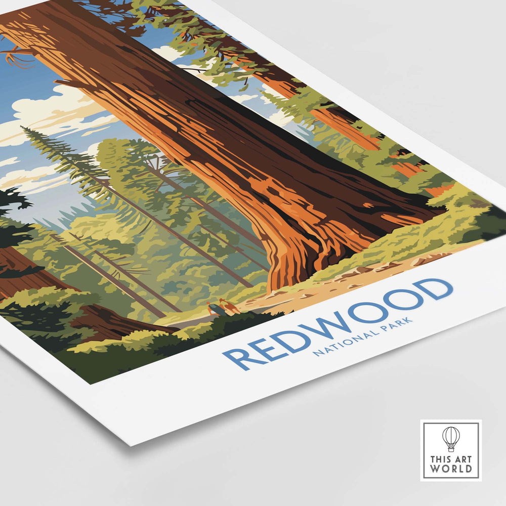 Redwood National Park Print