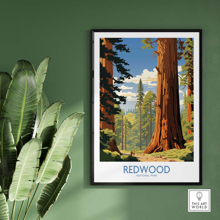 Redwood National Park Print
