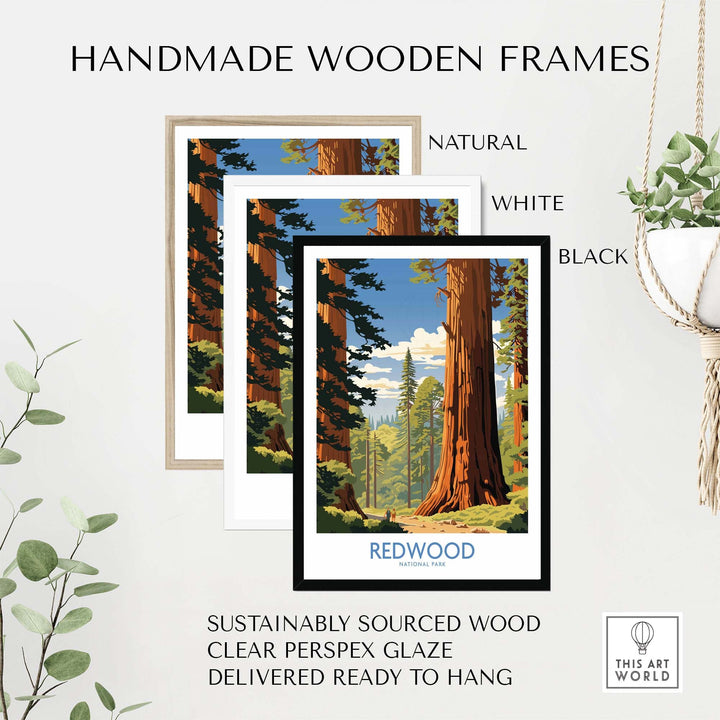 Redwood National Park Print