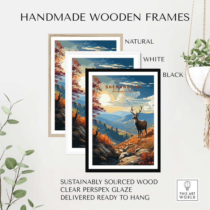 Shenandoah National Park Poster