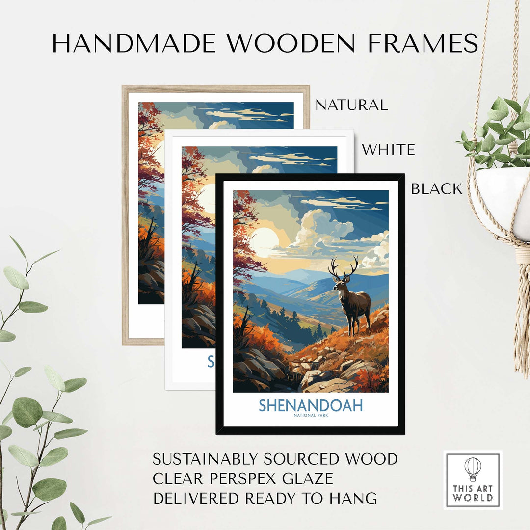Shenandoah National Park Print