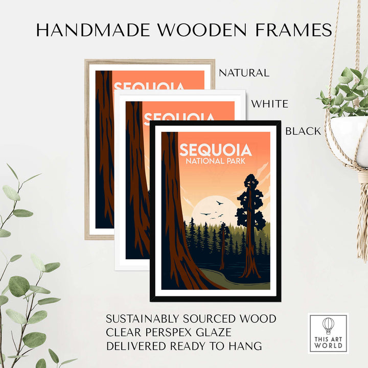 Three handmade wooden frames in natural, white, and black for Sequoia National Park prints, showcasing sustainable art solutions.