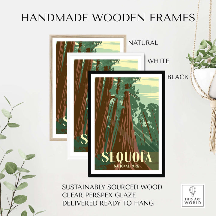 Handmade wooden frames for Sequoia National Park print, available in natural, white, and black finishes.