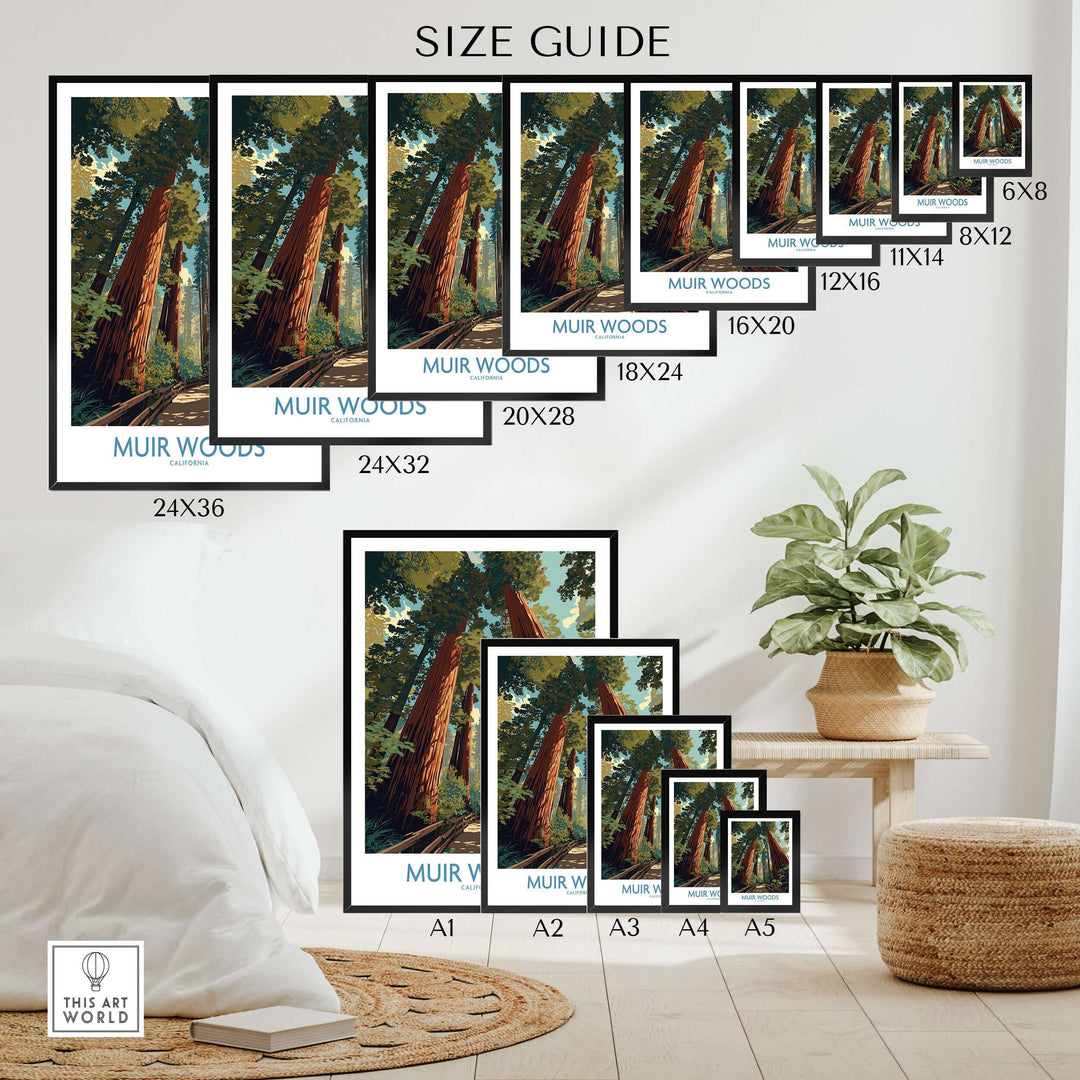 Size guide for Muir Woods California National Monument poster featuring redwoods and dimensions for various print sizes.