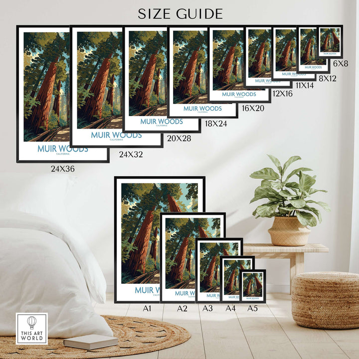 Size guide for Muir Woods California National Monument poster featuring redwoods and dimensions for various print sizes.