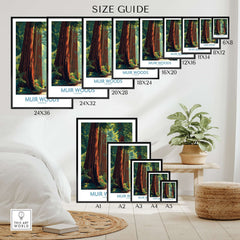 Muir Woods Print California - California National Park Wall Art size guide showcasing various print sizes and designs.