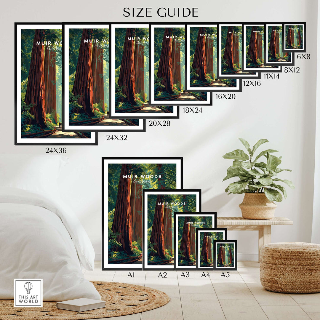 Muir Woods poster size guide displaying various frame sizes and redwood tree artwork in a tranquil setting.