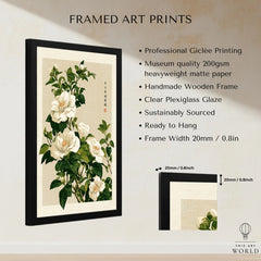 White Camellia Art Print – Vintage Japanese Botanical Wall Art — framed print details measurements quality details