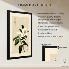 Camellia Art Print – Vintage Japanese Flower Wall Art — framed print details measurements quality details