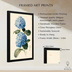 Blue Hydrangea Art Print – Japanese Botanical Wall Art — framed print details measurements quality details