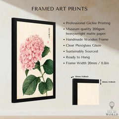 Pink Hydrangea Art Print – Vintage Japanese Botanical Wall Art — framed print details measurements quality details