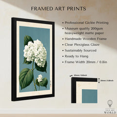 White Hydrangea Wall Art – Blue Japanese Botanical Print — framed print details measurements quality details