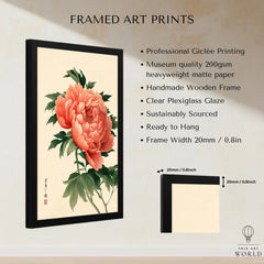 Coral Peony Art Print – Japanese Botanical Wall Art — framed print details measurements quality details