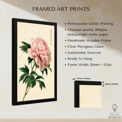 Pink Peony Art Print – Japanese Botanical Wall Art — framed print details measurements quality details