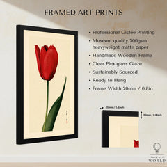 Red Tulip Art Print – Vintage Japanese Botanical Wall Art — framed print details measurements quality details