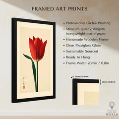 Deep Red Tulip Wall Art – Japanese Botanical Print — framed print details measurements quality details