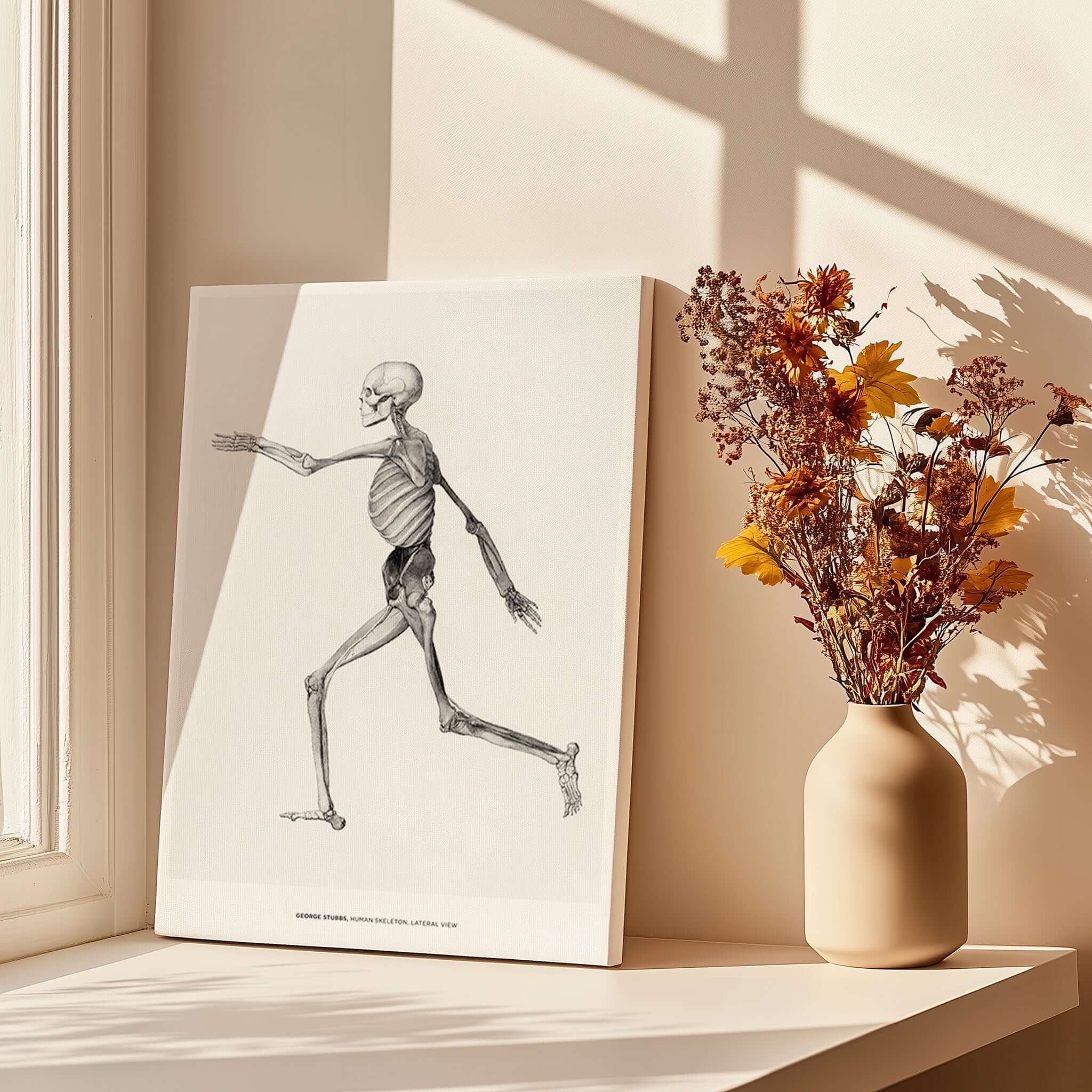 Exhibition Art Print George Stubbs Human Skeleton Lateral View Anatomy Poster displayed in a sunlit room with flowers.