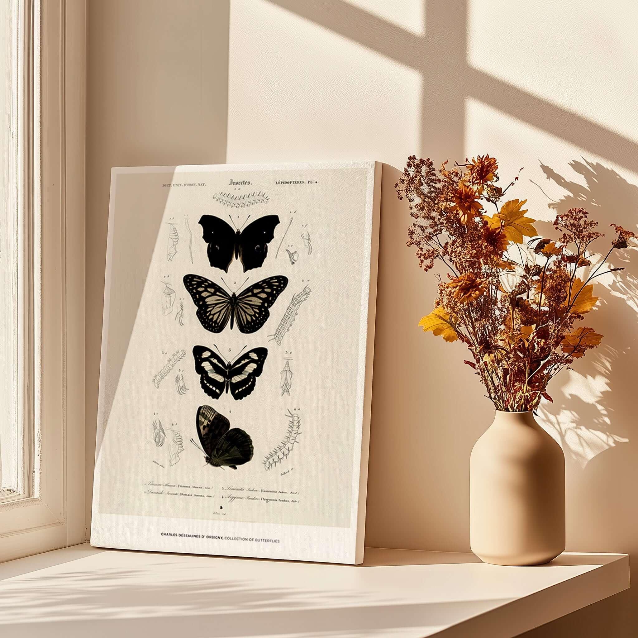 Exhibition Art Print Charles d'Orbigny Butterflies Vintage Entomology Poster Wall Art displayed on a table with flowers.