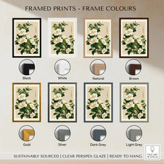 White Camellia Art Print – Vintage Japanese Botanical Wall Art — framed print colour options