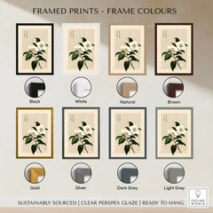 Camellia Art Print – Vintage Japanese Flower Wall Art — framed print colour options
