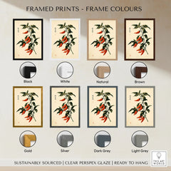 Red Chilli Art Print – Japanese Botanical Kitchen Wall Art — framed print colour options