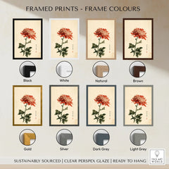 Red Chrysanthemum Art Print – Vintage Japanese Flower Wall Art — framed print colour options
