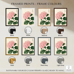Pink Hydrangea Art Print – Vintage Japanese Botanical Wall Art — framed print colour options