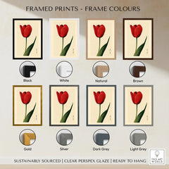Red Tulip Art Print – Vintage Japanese Botanical Wall Art — framed print colour options