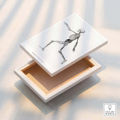 Exhibition Art Print George Stubbs Human Skeleton Lateral View Anatomy Poster displayed on a wooden box.