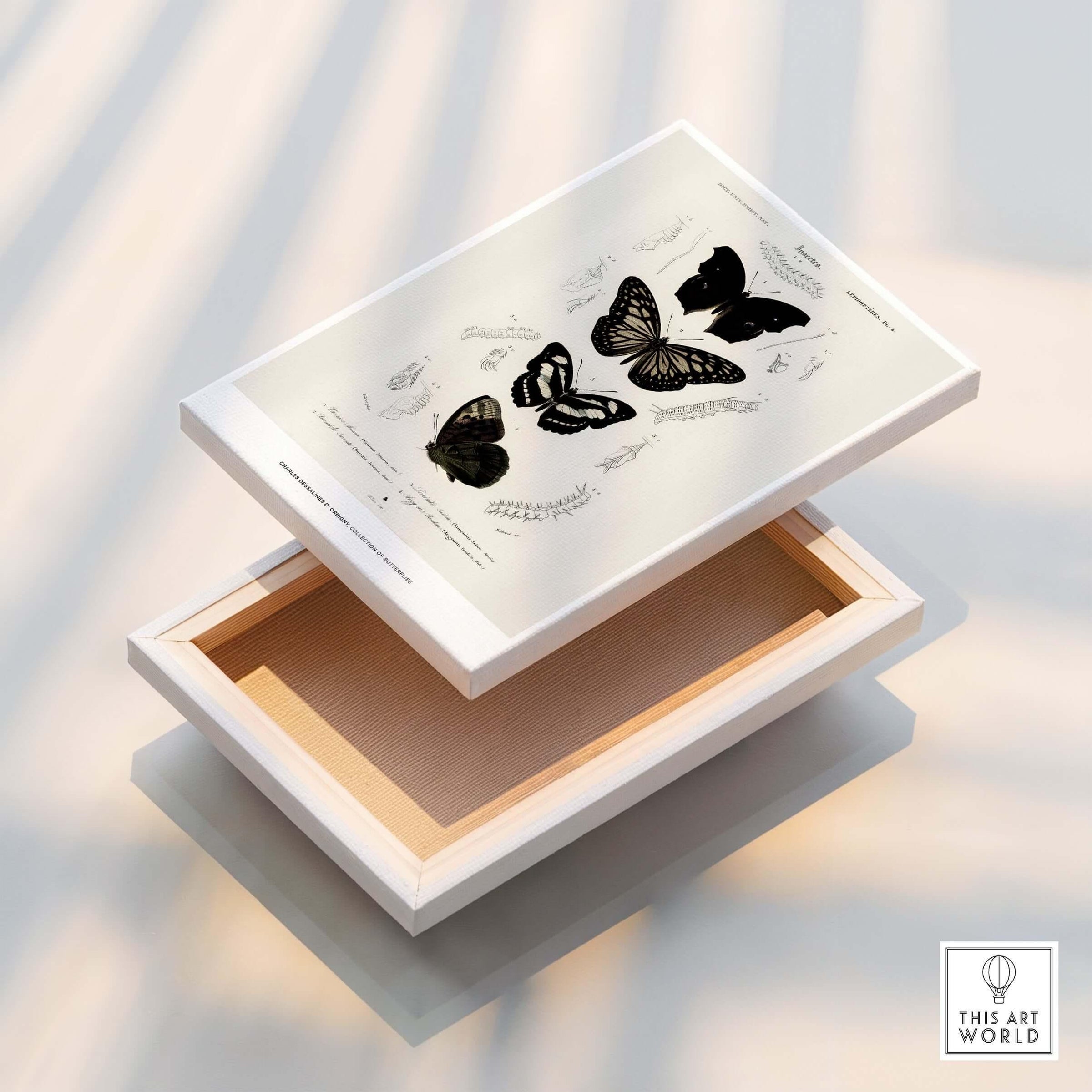 Exhibition Art Print Charles d'Orbigny Butterflies Vintage Entomology Poster Wall Art displayed on a wooden box.