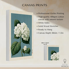 White Hydrangea Wall Art – Blue Japanese Botanical Print — canvas print stretched cotton canvas details