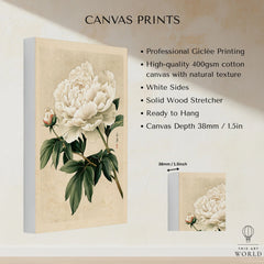 White Peony Art Print – Vintage Japanese Botanical Wall Art — canvas print stretched cotton canvas details