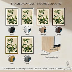 White Camellia Art Print – Vintage Japanese Botanical Wall Art — framed canvas float frame colour options