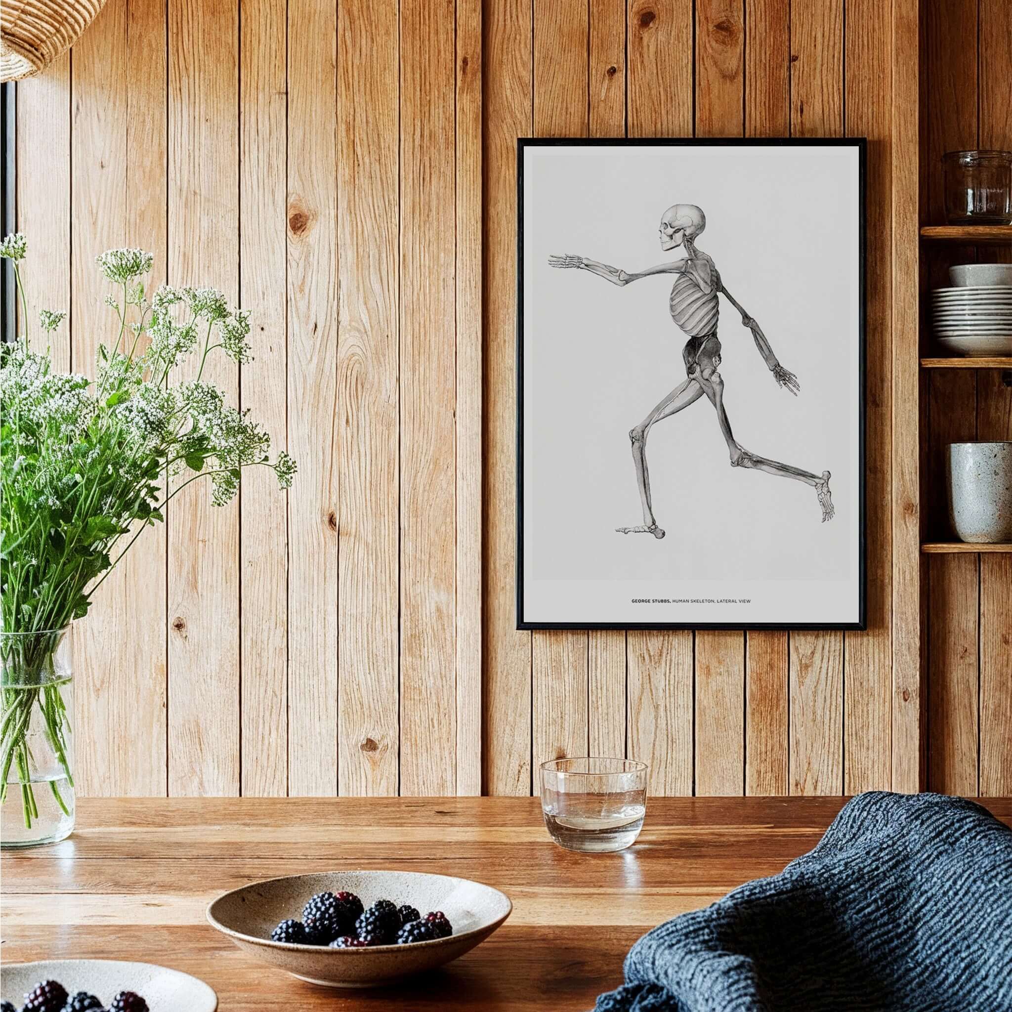 Exhibition Art Print George Stubbs Human Skeleton Lateral View Anatomy Poster displayed on wooden wall in a home decor.