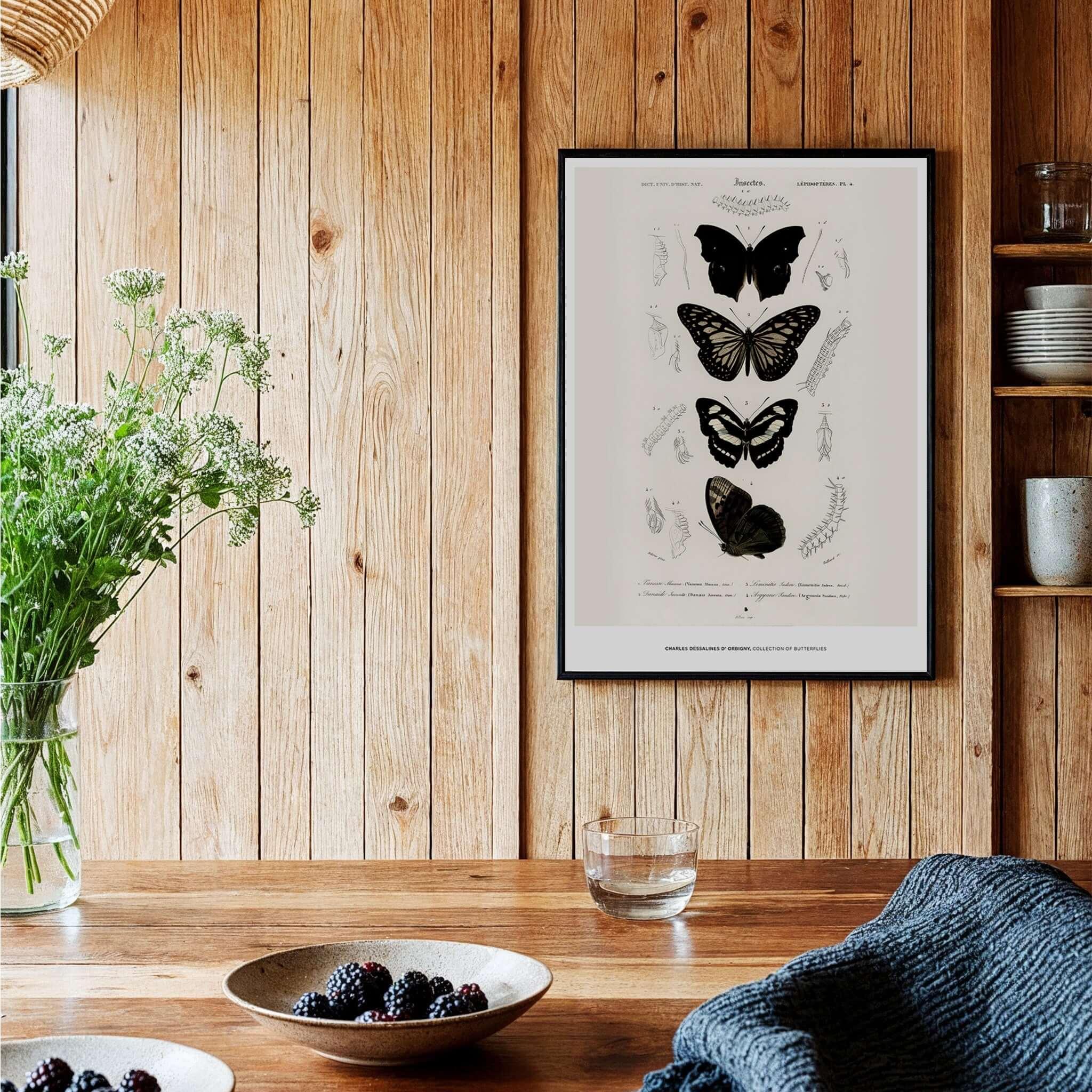 Exhibition Art Print Charles d'Orbigny Butterflies Vintage Entomology Poster Wall Art displayed in a rustic kitchen setting.