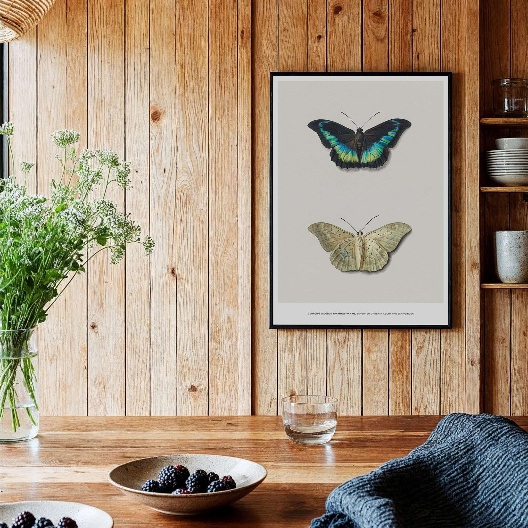 Exhibition Art Print Georgius van Os Two Butterflies Vintage Entomological Poster displayed on a wooden wall.