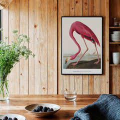 Exhibition Art Print Pink Flamingo Birds of America Vintage Bird Poster - John James Audubon hanging in a rustic kitchen.