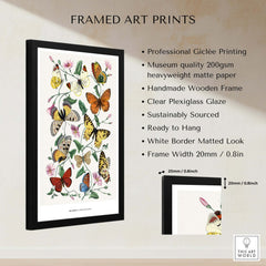 Paul Servais Butterflies Le Jardin des Plantes Vintage Botanical Wall Art framed print details with vibrant butterfly illustrations.