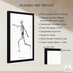 Exhibition Art Print George Stubbs Human Skeleton Lateral View Anatomy Poster framed with professional Giclée printing.