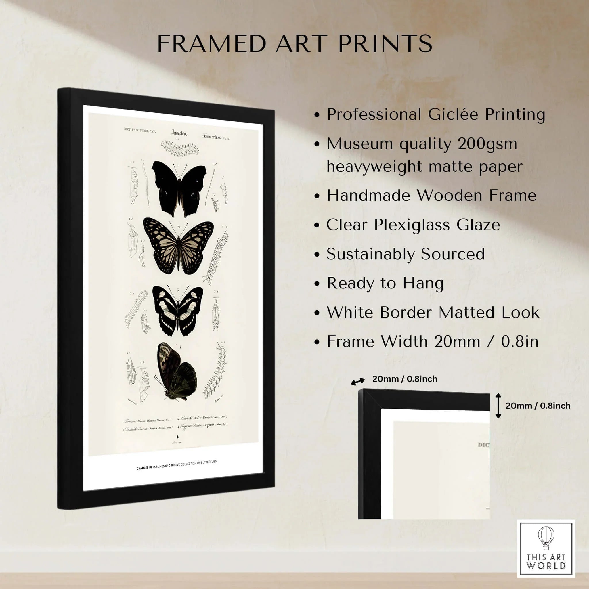 Exhibition Art Print Charles d'Orbigny Butterflies Vintage Entomology Poster Wall Art framed with a black wooden frame