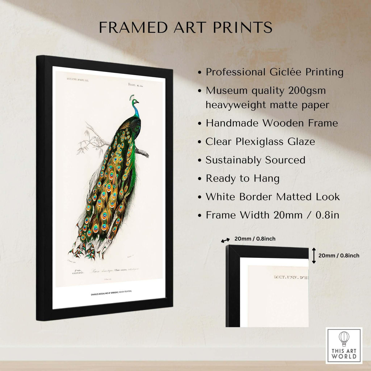 Exhibition Art Print Charles d'Orbigny Indian Peafowl Vintage Bird Illustration Wall Art in a framed giclée print.