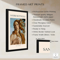 Botticelli Birth of Venus Face Detail Art Print Renaissance Iconic Poster Wall Art framed with clear plexiglass.