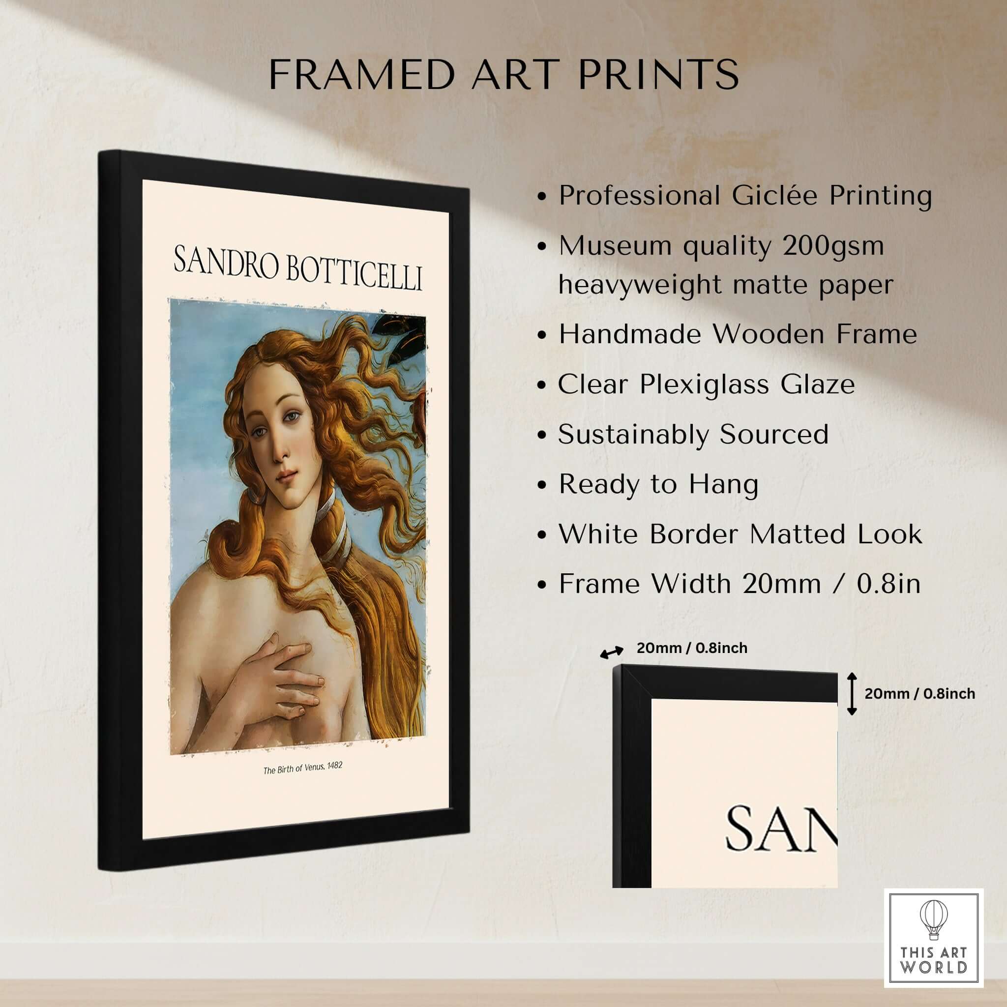 Botticelli Birth of Venus Face Detail Art Print Renaissance Iconic Poster Wall Art framed with clear plexiglass.