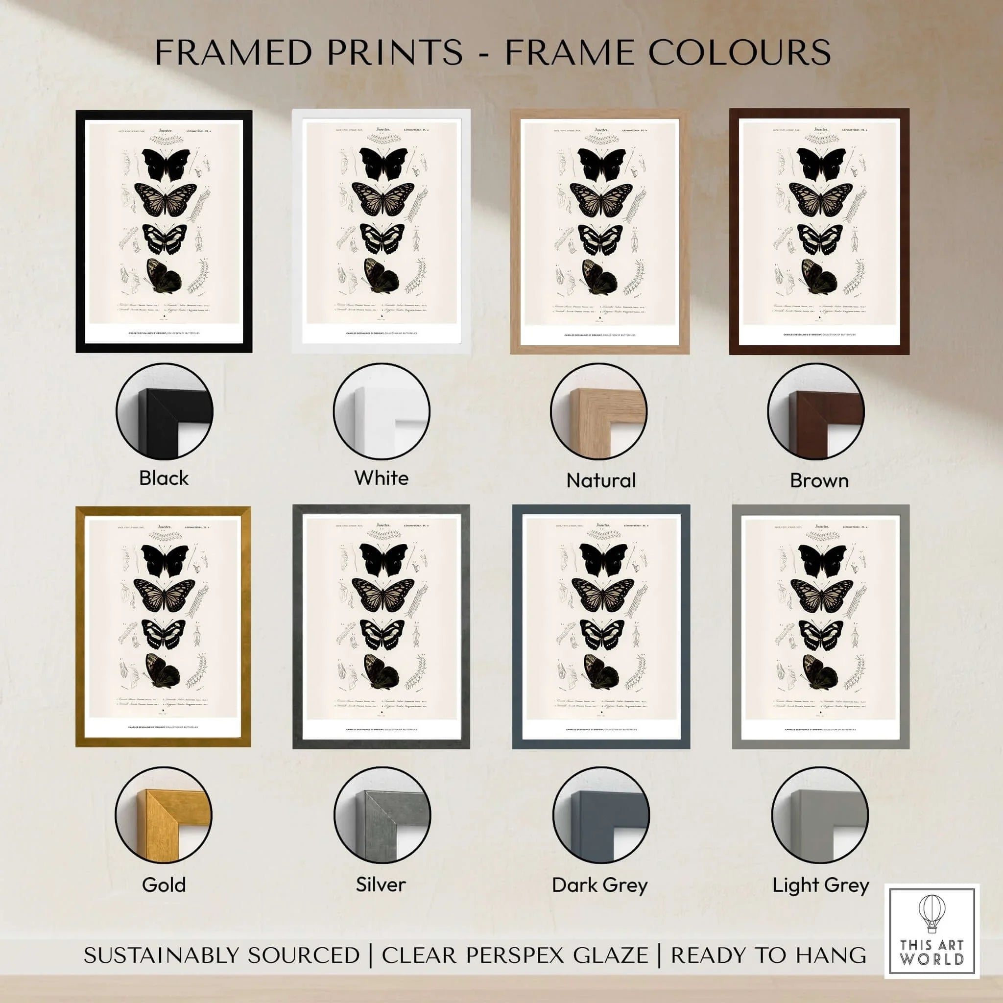 Exhibition Art Print Charles d'Orbigny Butterflies Vintage Entomology Poster Wall Art displayed in various frame colors.