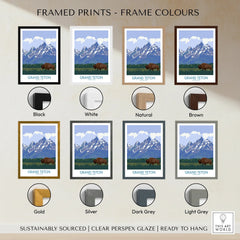 Grand Teton National Park print with bison, shown in eight frame color options