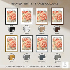 Framed prints showcasing William Morris Prints - Pink Peony Pattern Art Print in various frame colors.