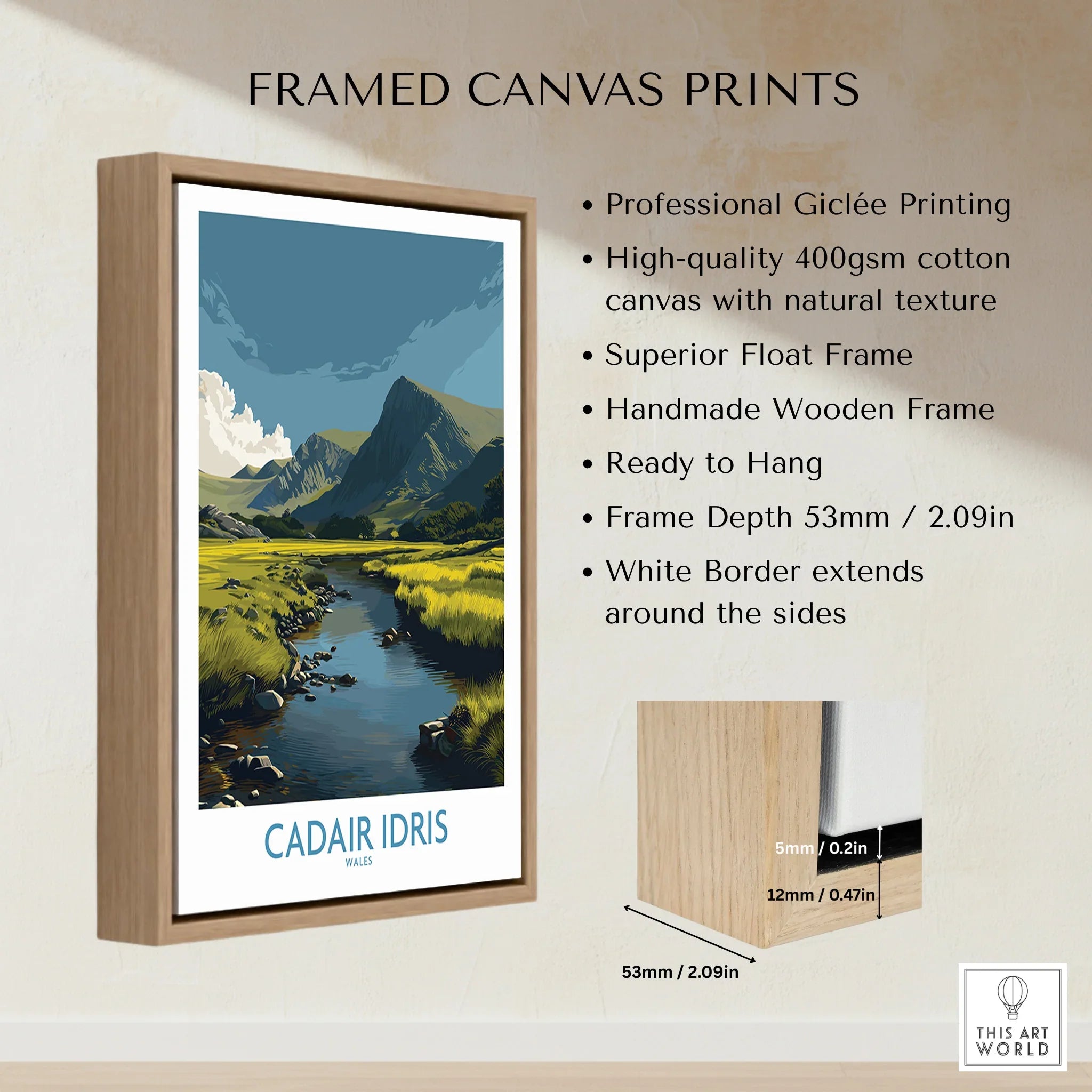 Framed canvas print of Cadair Idris landscape with float frame and wall art details display.