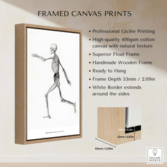 Exhibition Art Print George Stubbs Human Skeleton Lateral View Anatomy Poster framed print with wooden frame and white border
